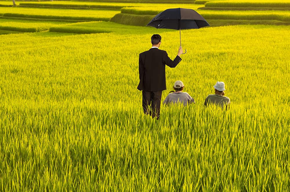 Risk and Opinion Analysis Improves Agricultural Insurance in Bali