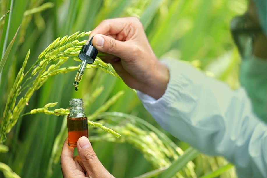 Lignohumate®: eco-friendly and highly effective substitute for pesticides