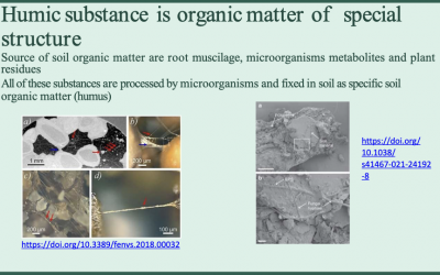 The Mechanism of Humic Substances Functioning at Level of Soil Microparticles