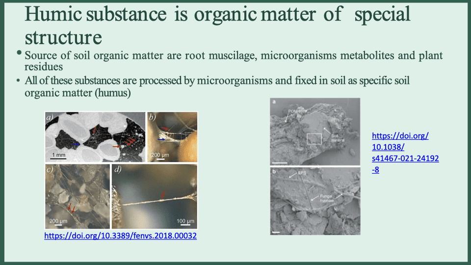 The Mechanism of Humic Substances Functioning at Level of Soil Microparticles
