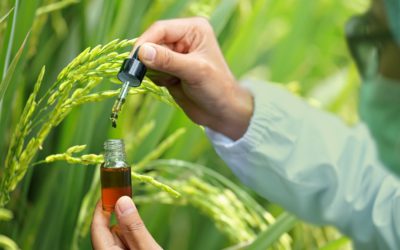 Lignohumate®: eco-friendly and highly effective substitute for pesticides