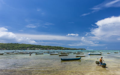 Seaweed business in Indonesia discusses COVID-19 impact