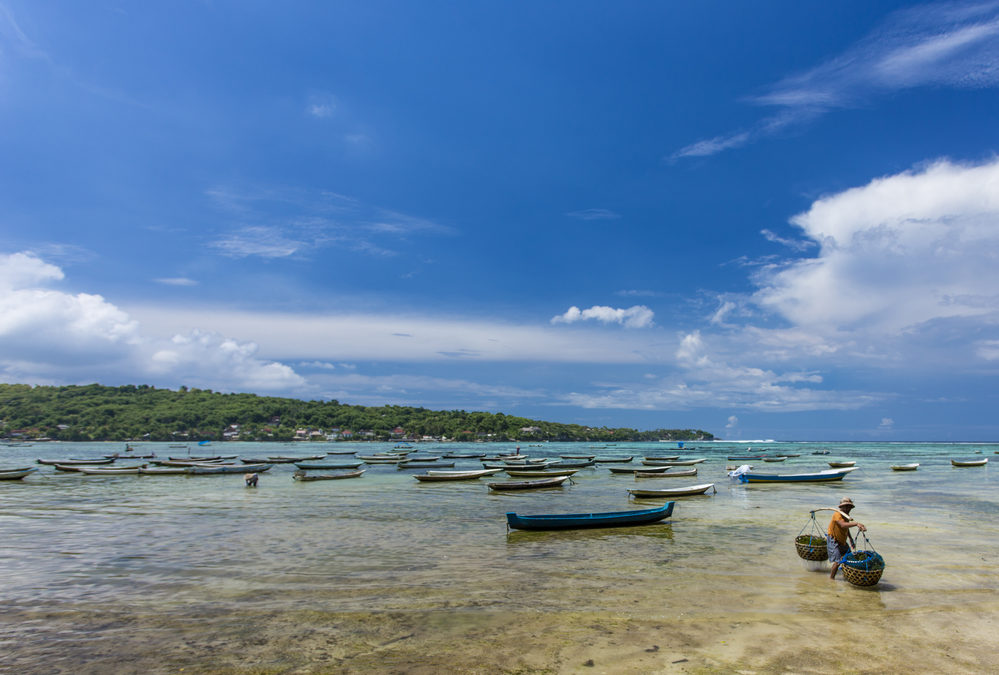 Seaweed business in Indonesia discusses COVID-19 impact