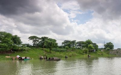 Bangladesh waters poisoned by drugs and chemicals