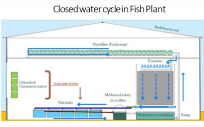 Closed-Cycle Aquaculture Workshop